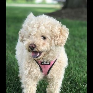 Meet your Posher, Cathy